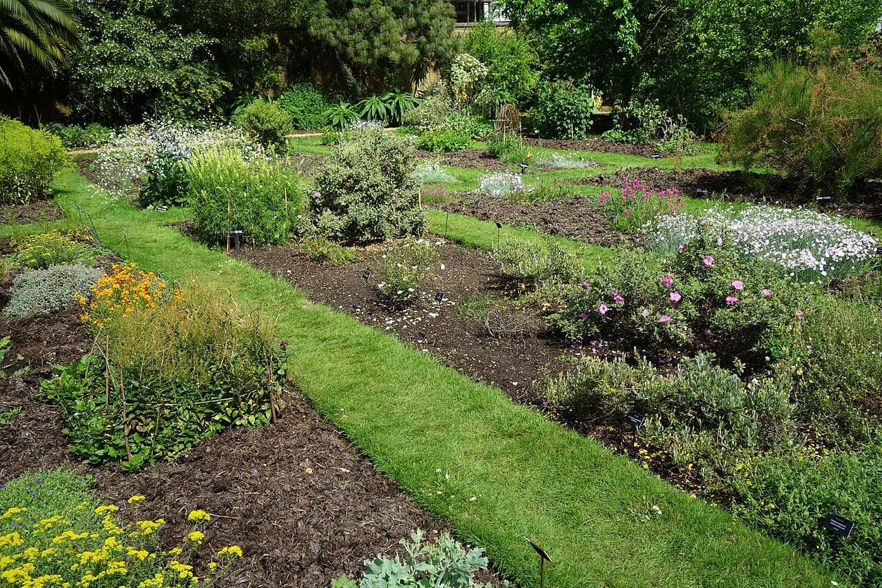 Chelsea Physic Garden - Main view