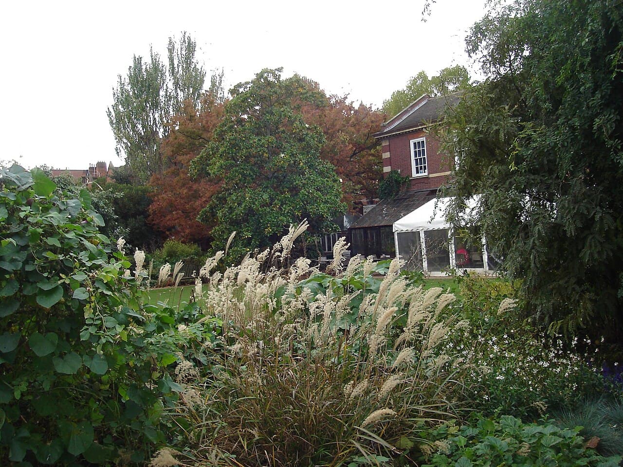 Chelsea Physic Garden - Image 2