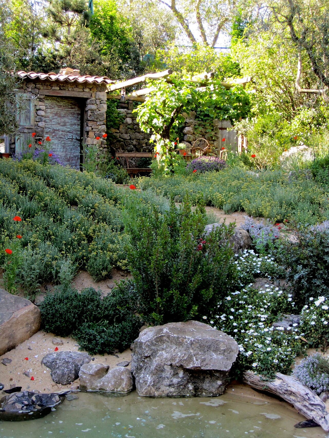 Chelsea Physic Garden - Image 4