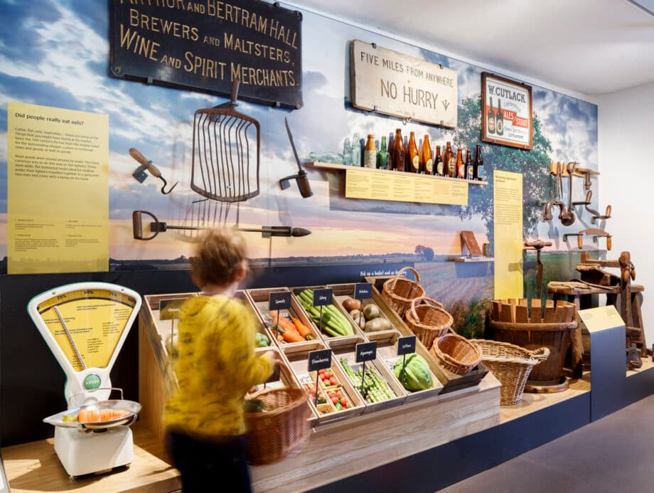 Ely Museum - Image 3