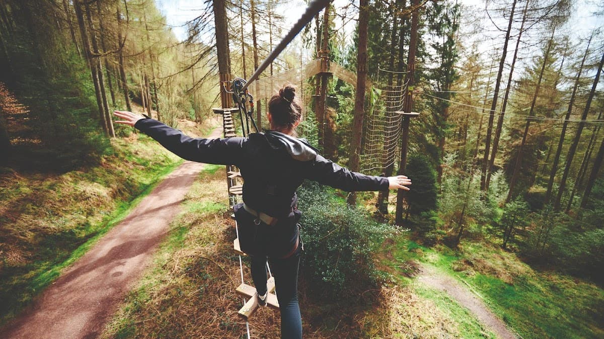 Go Ape Aberfoyle - Main view