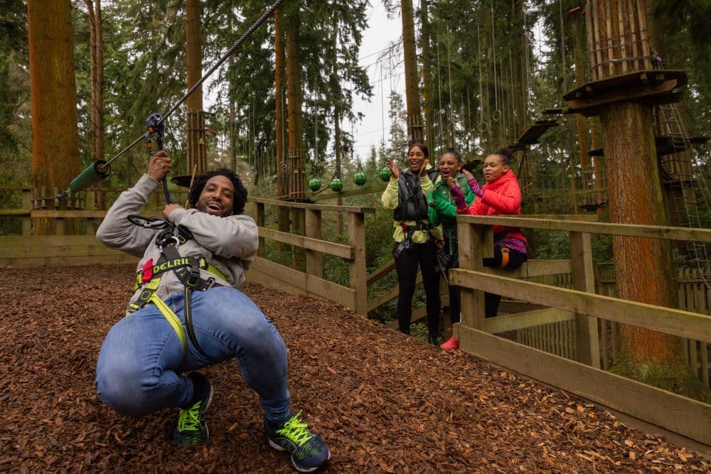 Go Ape Aberfoyle - Image 4
