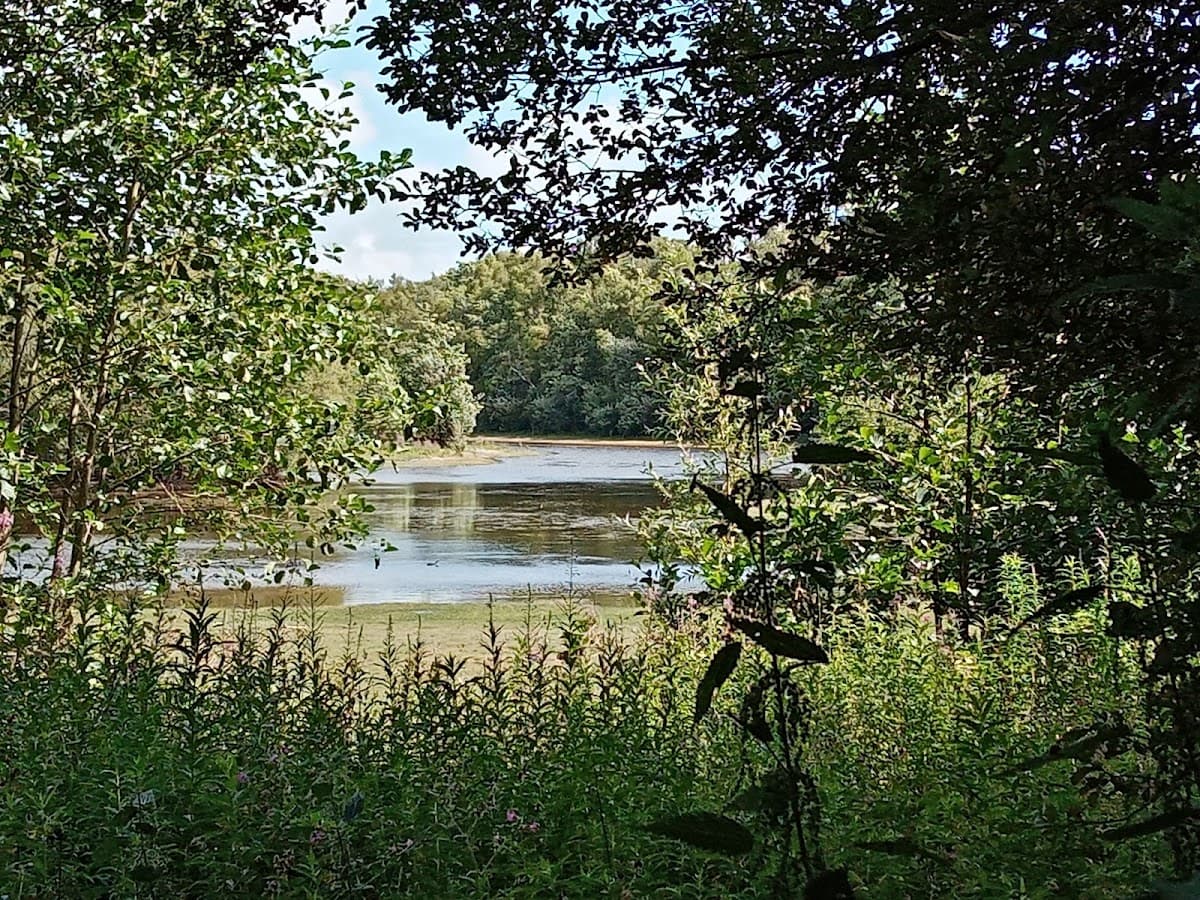 Llyn Parc Mawr Community Woodland - Image 2