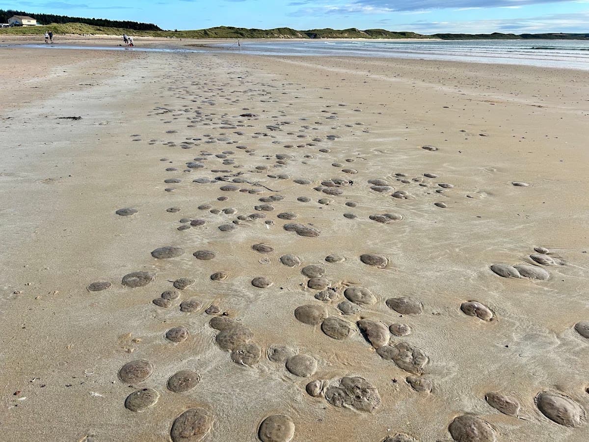 Dunnet Bay - Main view