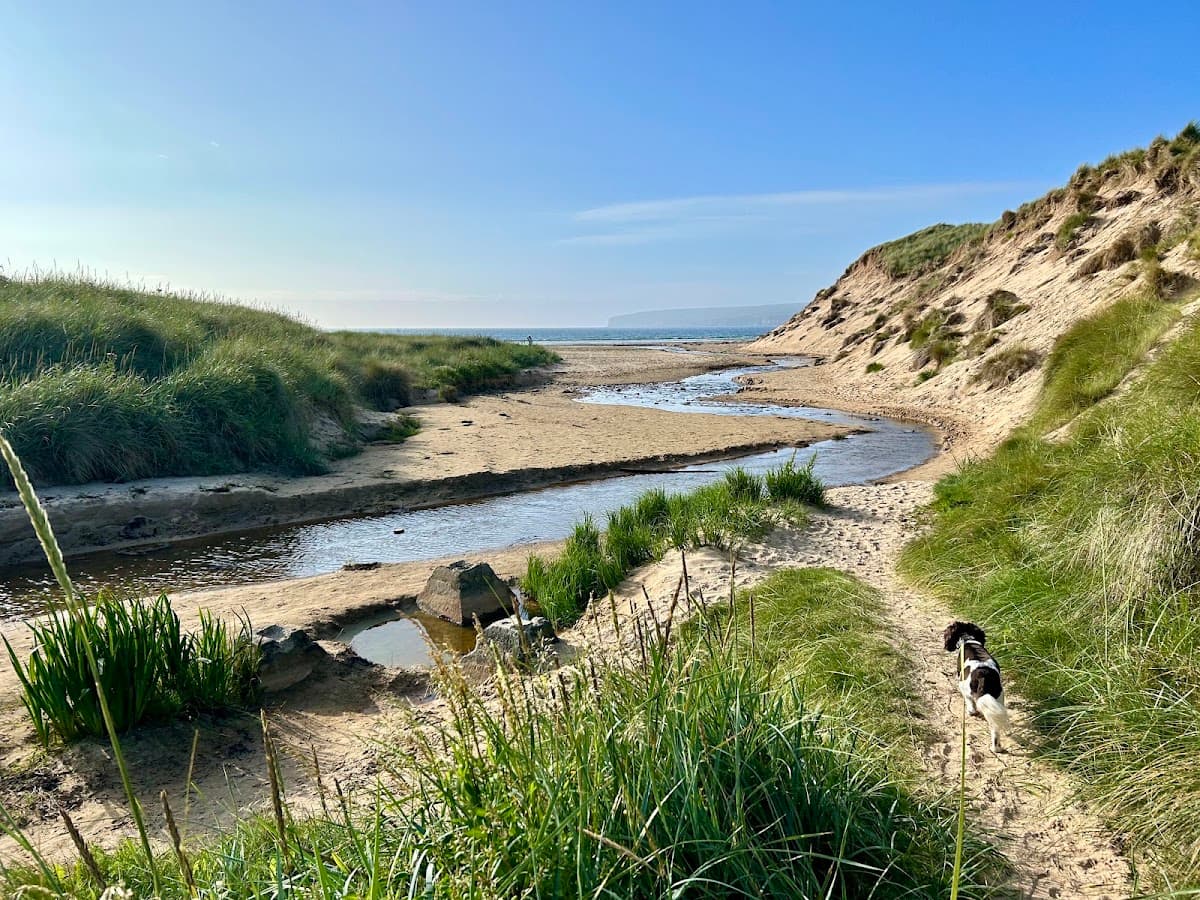 Dunnet Bay - Image 5