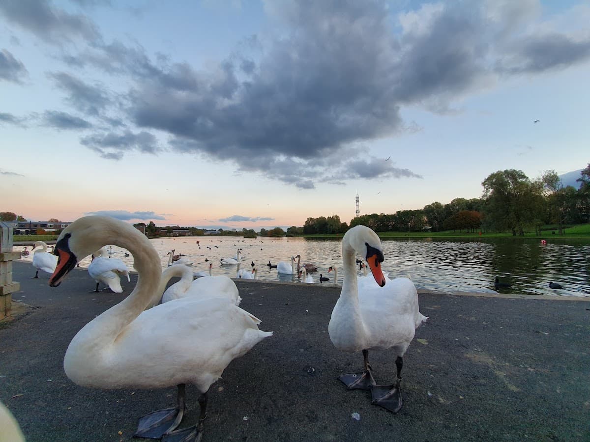 Lakeside Park - Image 2