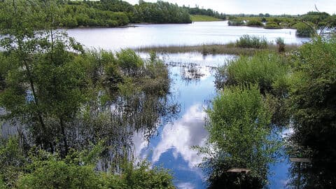 Thorpe Marsh Nature Reserve - Main view