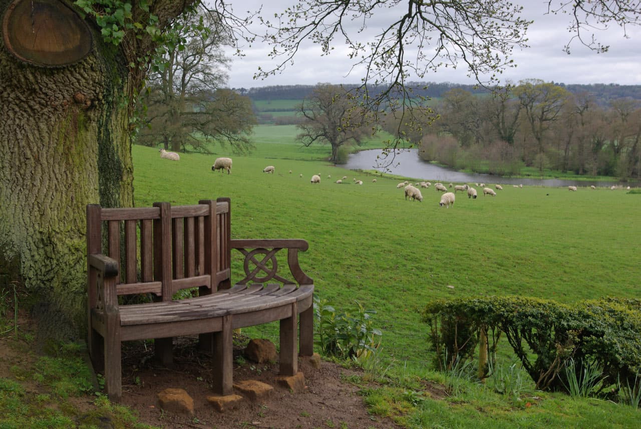 National Trust - Farnborough Hall - Image 4