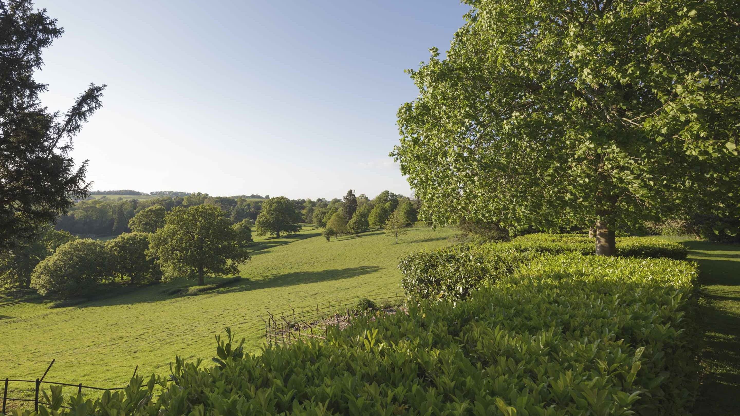 National Trust - Farnborough Hall - Image 5