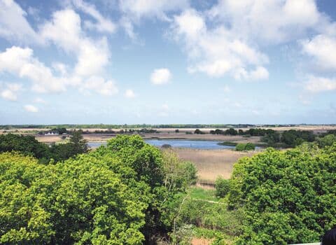 Norfolk Wildlife Trust – Hickling Broad and Marshes nature reserve - Main view