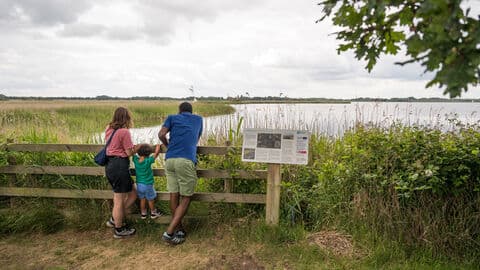 Norfolk Wildlife Trust – Hickling Broad and Marshes nature reserve - Image 2