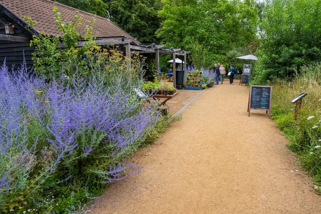RSPB Flatford Wildlife Garden - Image 3
