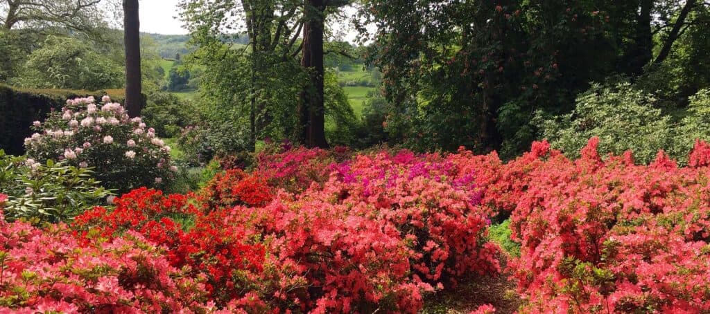 Arley Arboretum & Gardens - Main view