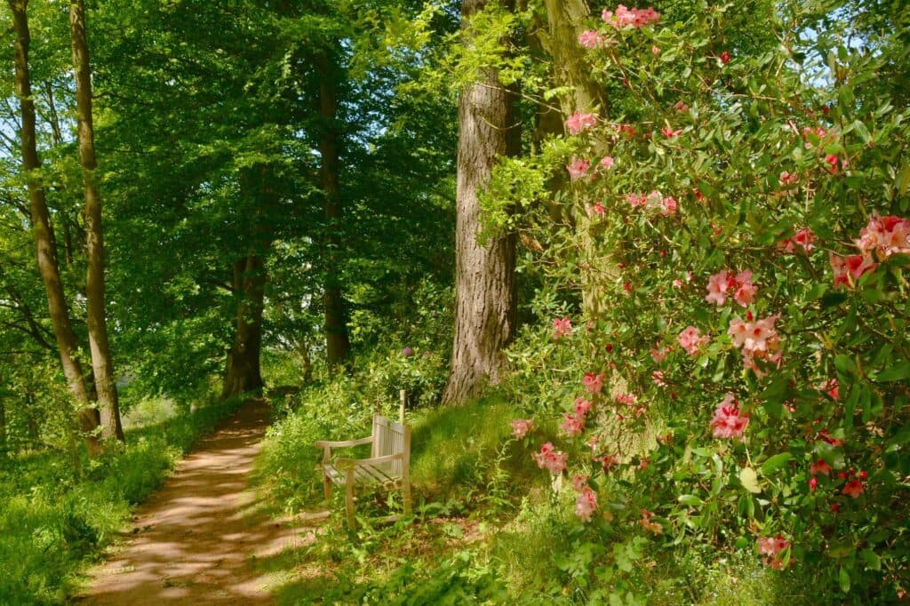 Arley Arboretum & Gardens - Image 2