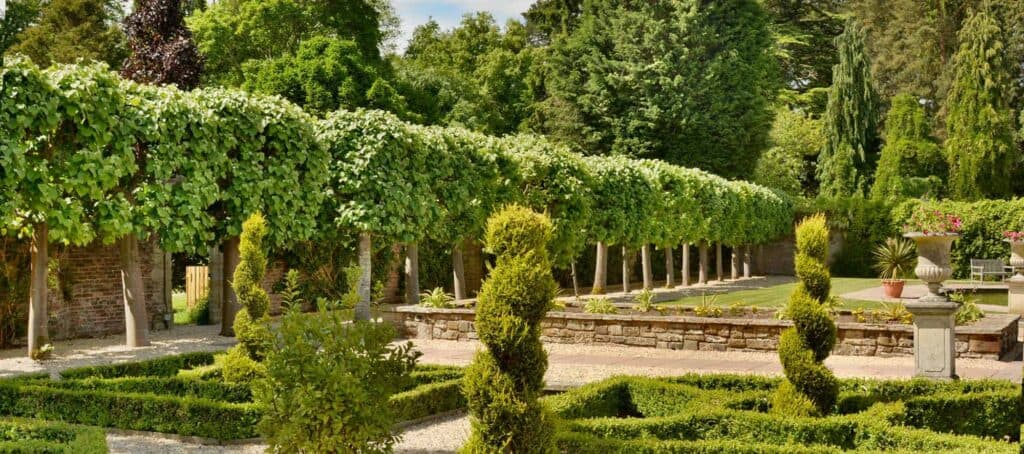 Arley Arboretum & Gardens - Image 3