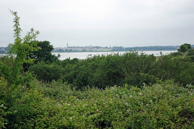 Wrabness Nature Reserve - Main view
