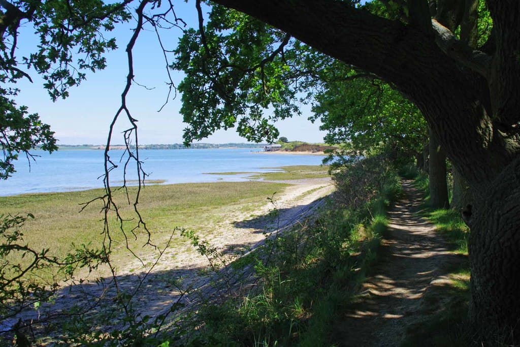 Wrabness Nature Reserve - Image 2