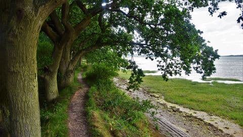 Wrabness Nature Reserve - Image 3