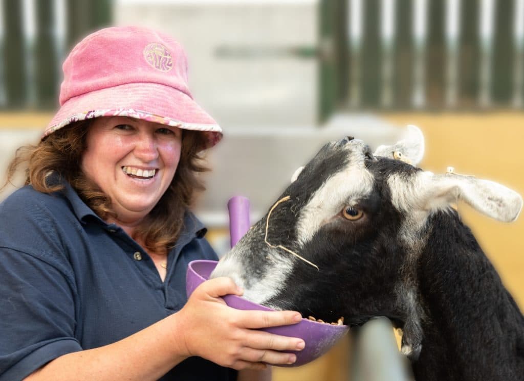 South of England Rare Breeds Centre - Image 4