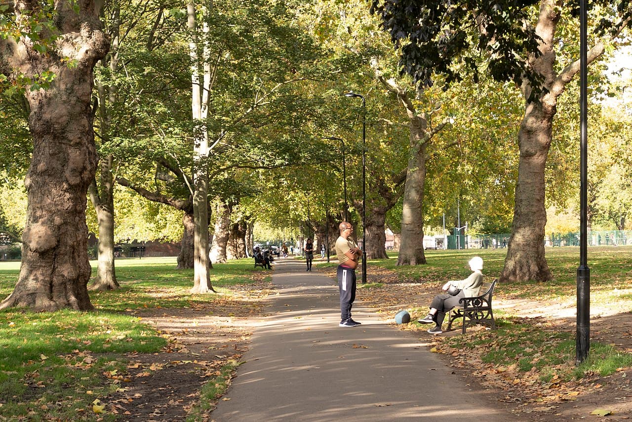 London Fields - Main view