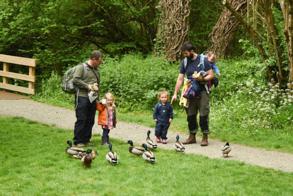 Woods Mill Nature Reserve - Sussex Wildlife Trust - Image 4