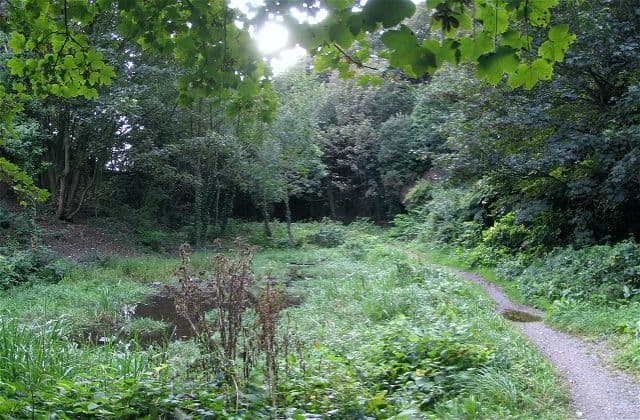 Rosehill Quarry Community Park - Image 2