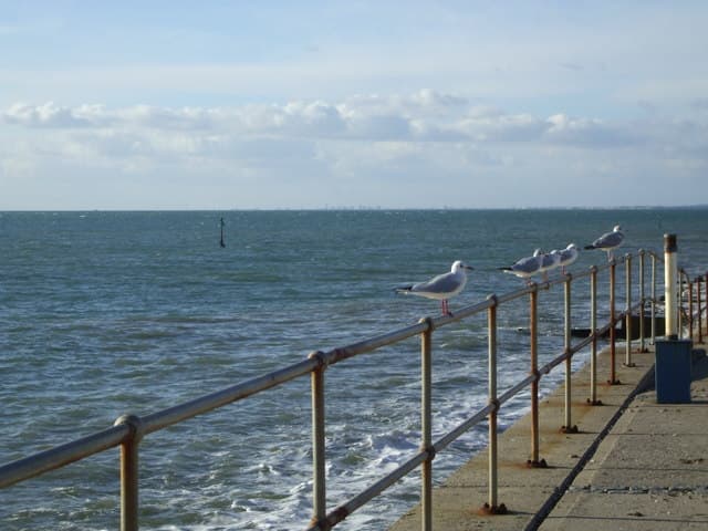 Selsey Bill - Image 3