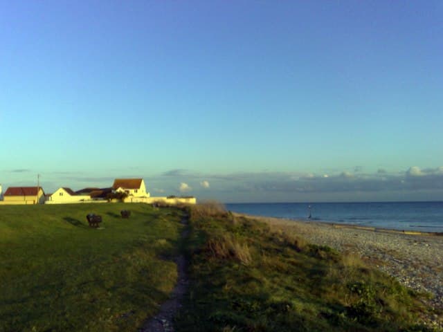 Selsey Bill - Image 4