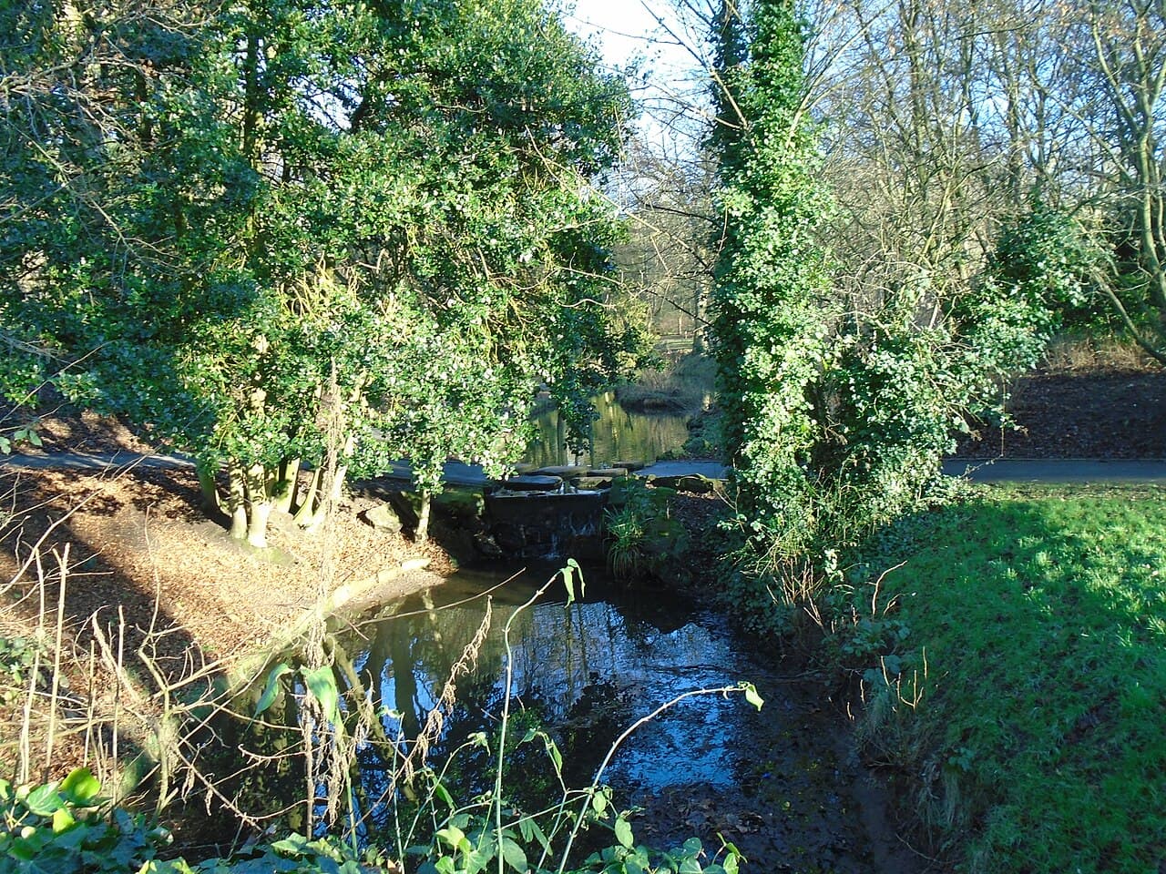 Fairy Dell Park - Image 1