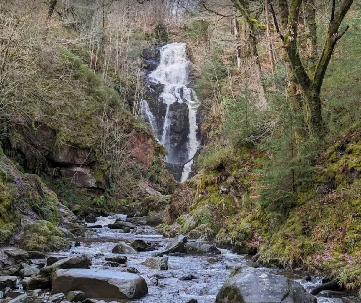 Queen Elizabeth Forest Park - Image 5