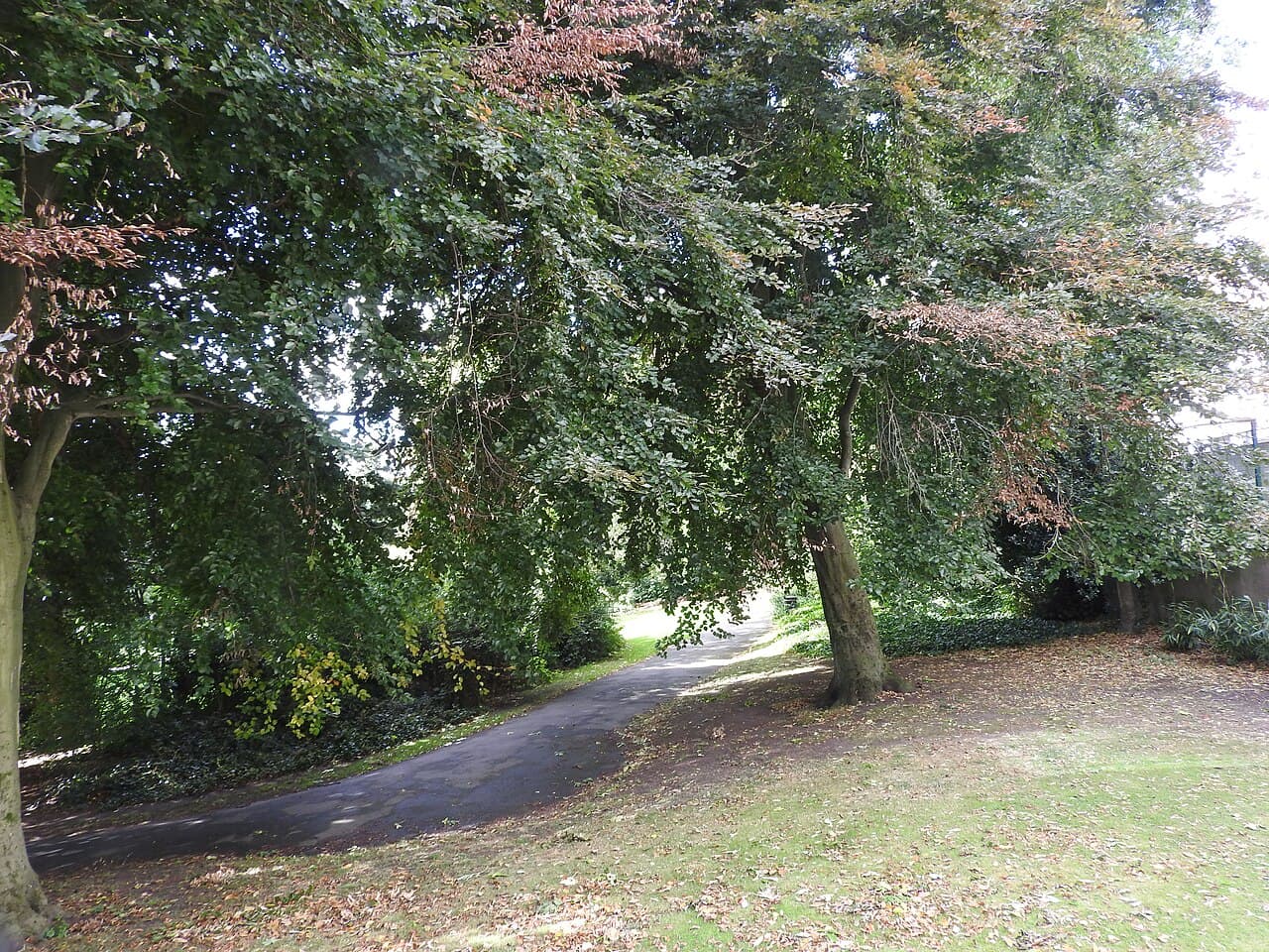 Nottingham Arboretum - Image 3