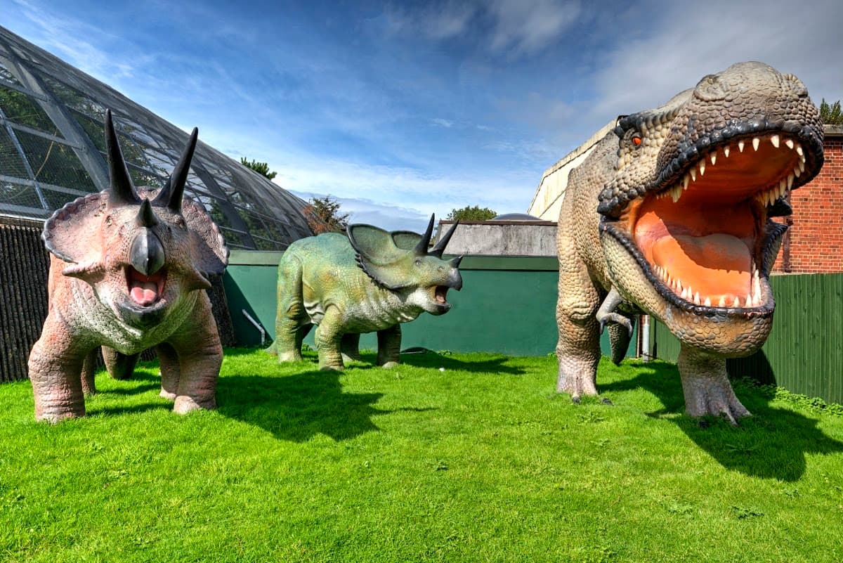 Dinosaur Safari - Main view