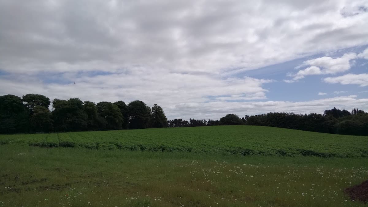 Rosewell Park - Image 2