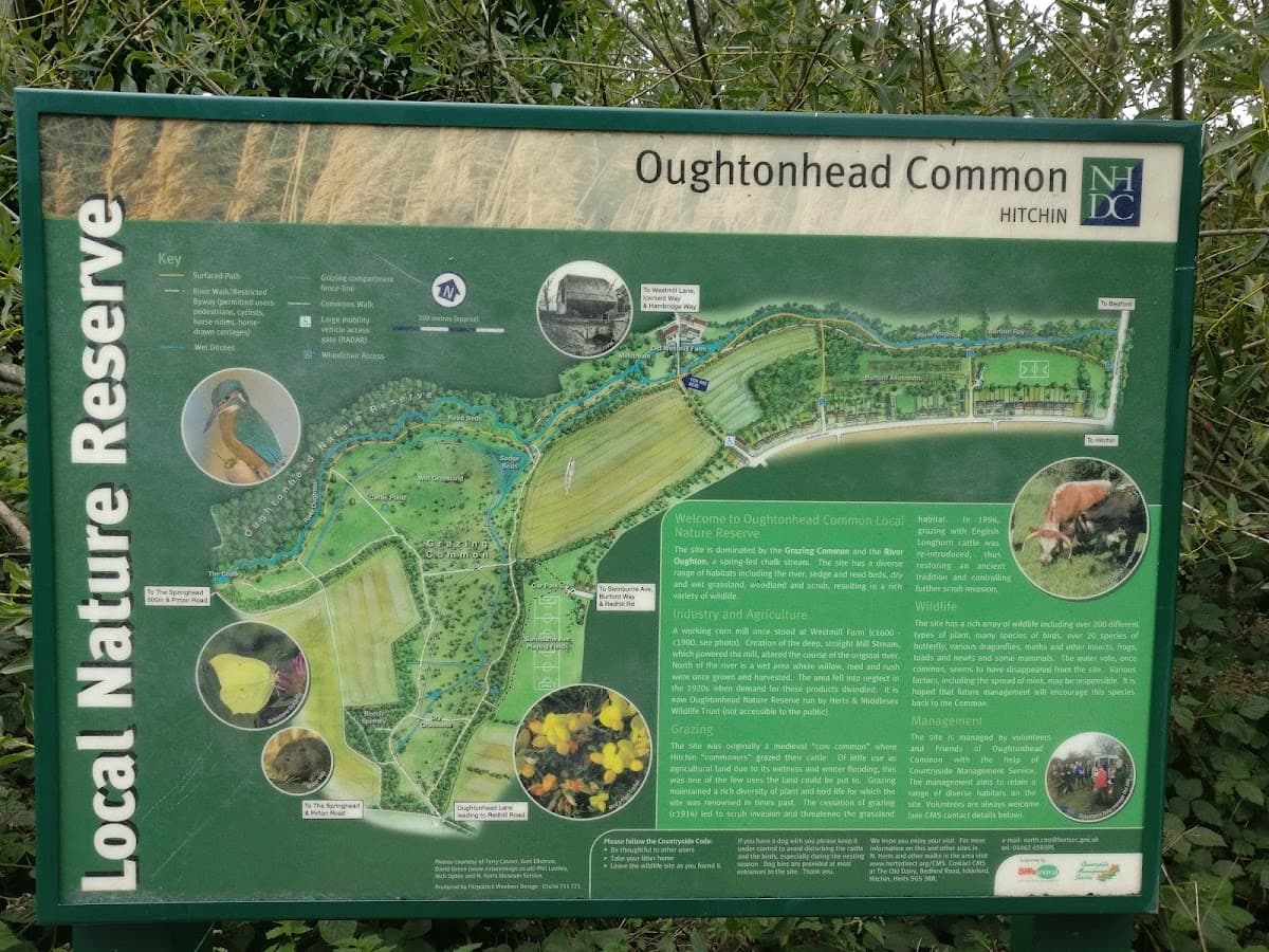 Oughtonhead Common Nature Reserve - Image 2