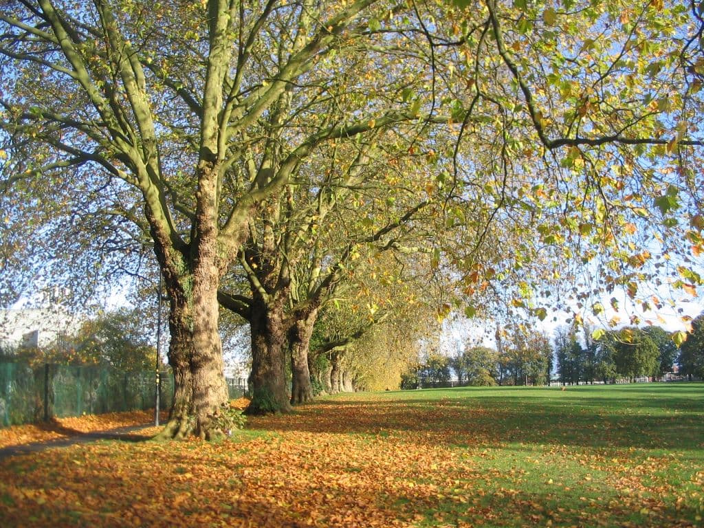 Spencer Park - Main view