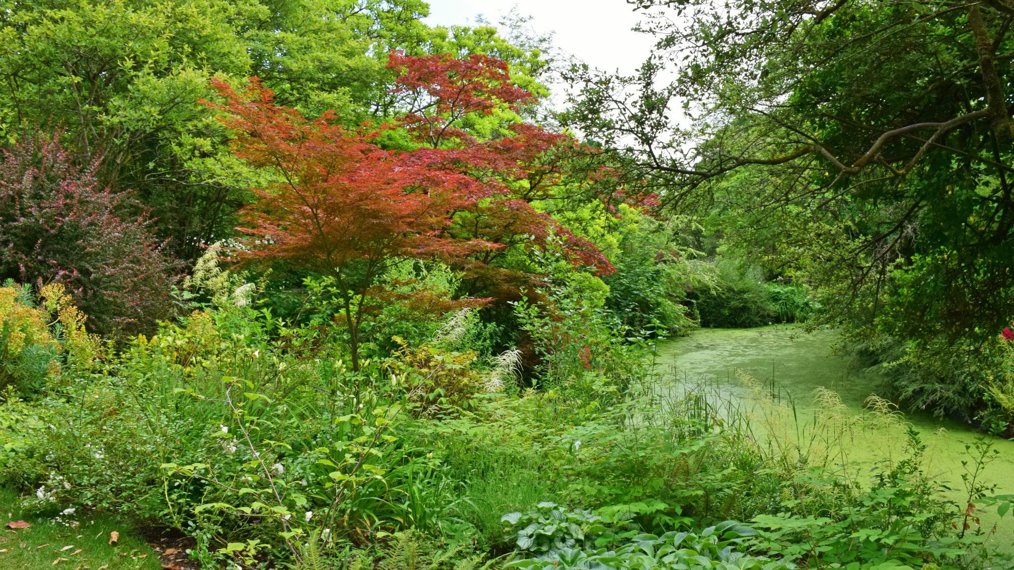 Botanical Gardens - Image 3
