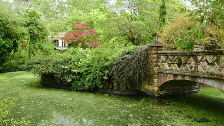 Botanical Gardens - Image 4