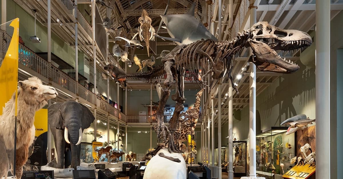 National Museum of Scotland - Image 2