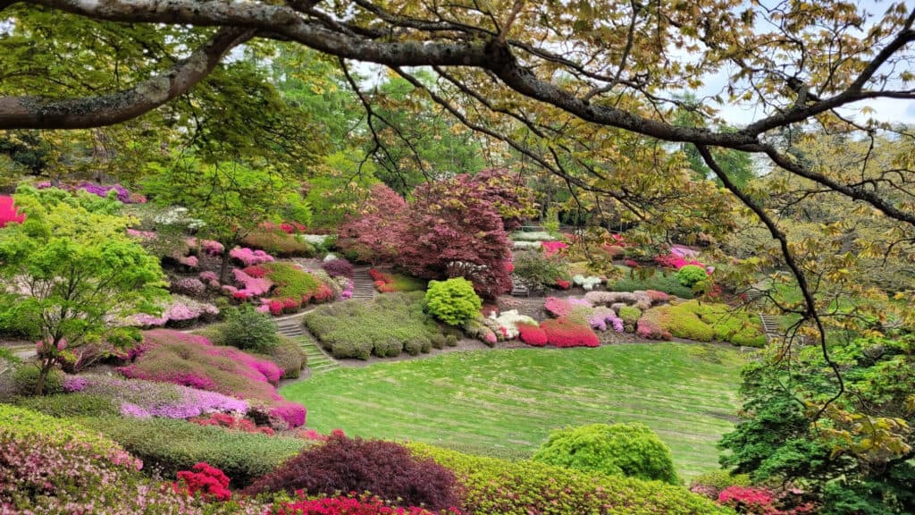 The Valley Gardens - Image 2