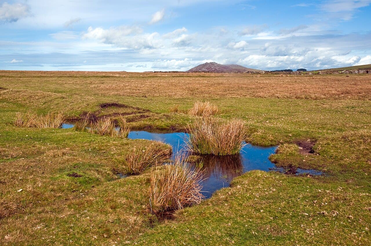 Bodmin Moor - Main view