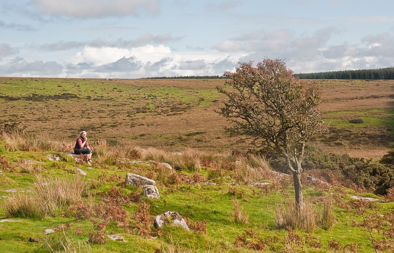 Bodmin Moor - Image 3