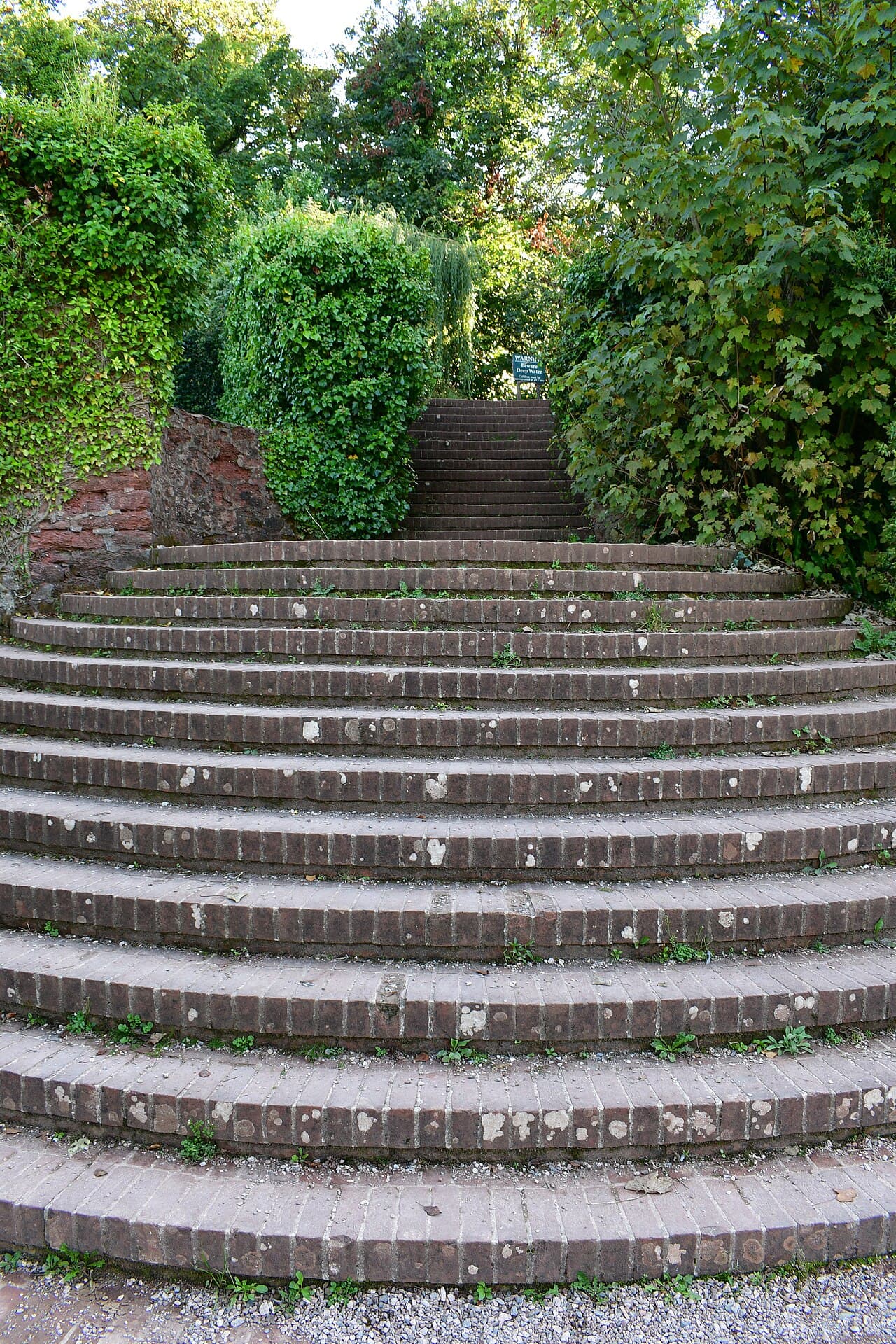 Cockington Country Park - Image 3