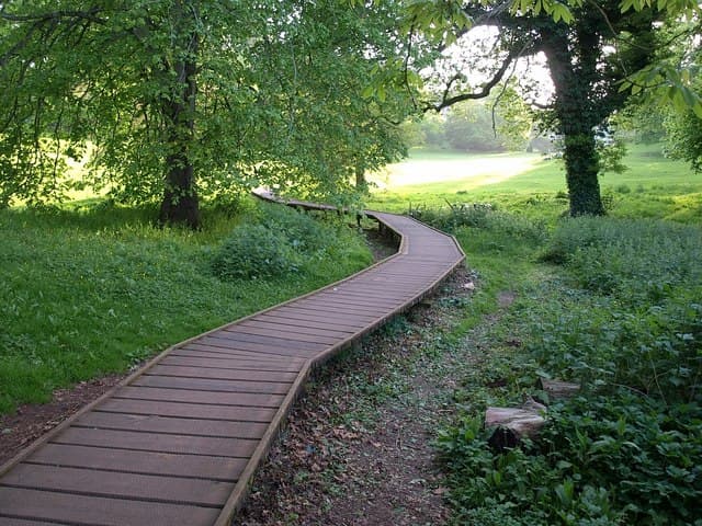 Cockington Country Park - Image 4