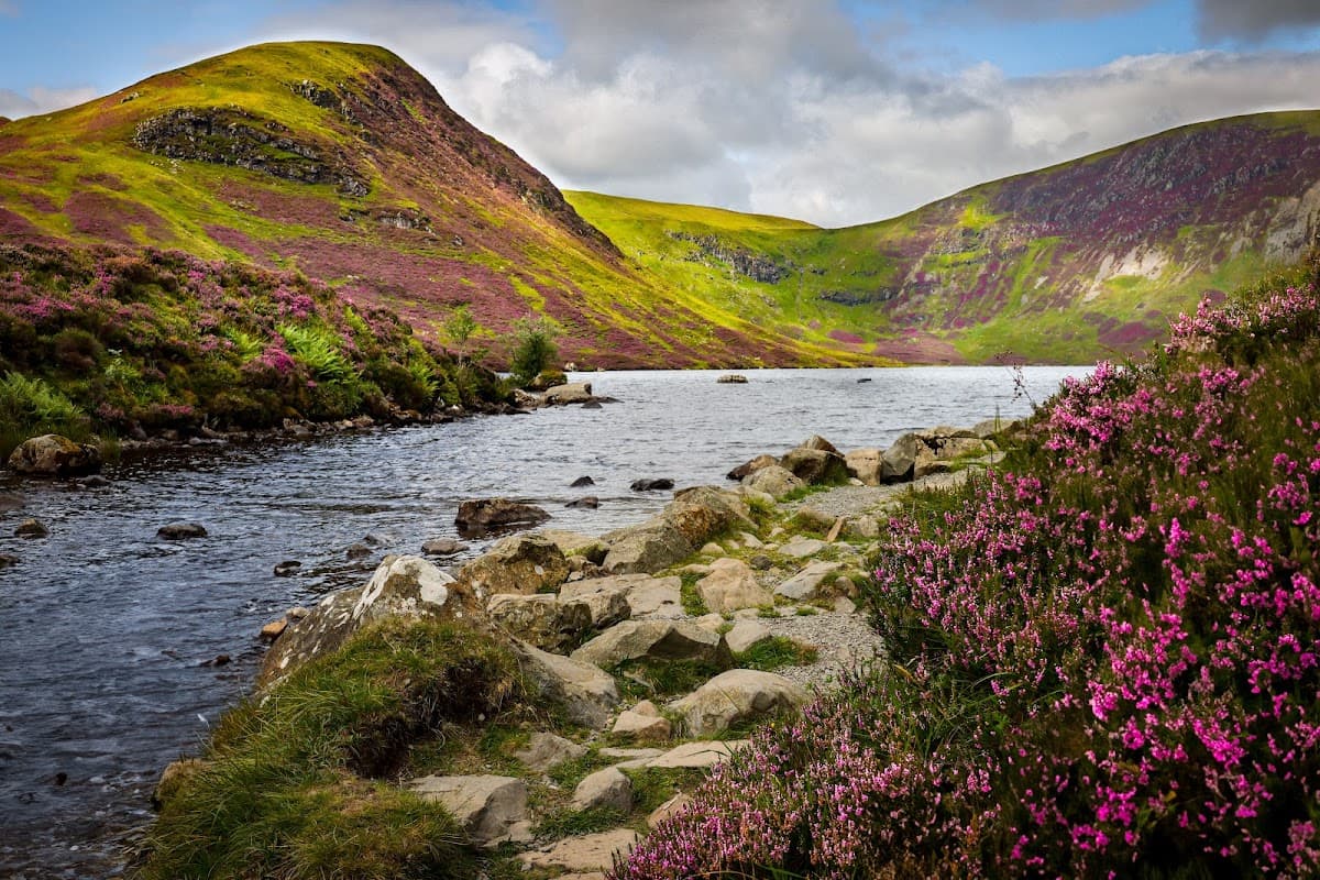 Grey Mares Tail Nature Reserve (National Trust for Scotland) - Main view
