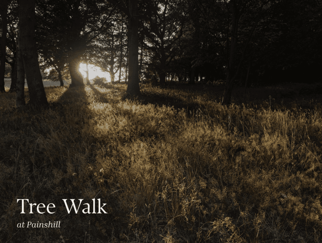 Painshill Park - Image 3