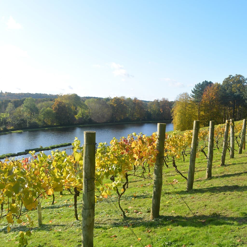 Painshill Park - Image 5