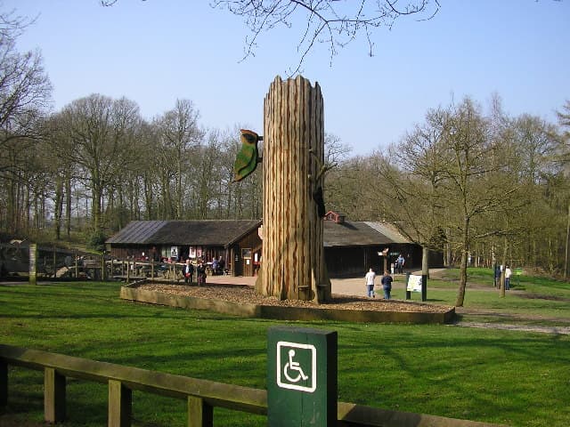 Wyre Forest - Forestry England - Image 3