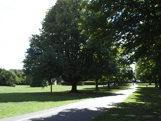 Danson Park - Image 2
