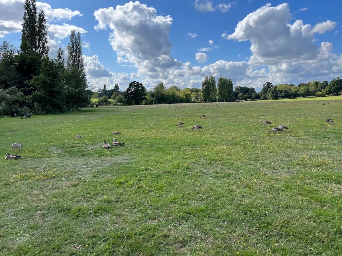 Danson Park - Image 5