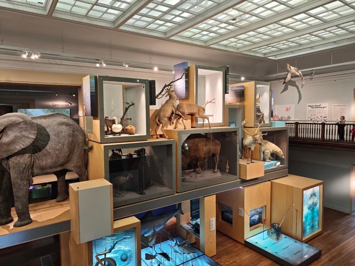 Great North Museum: Hancock - Main view